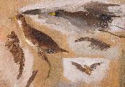 Thomas Eakins Studies of Game Birds, probably Viginia Rails Sweden oil painting artist